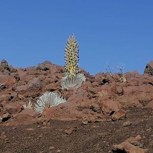 Meet your Posher, Angelina